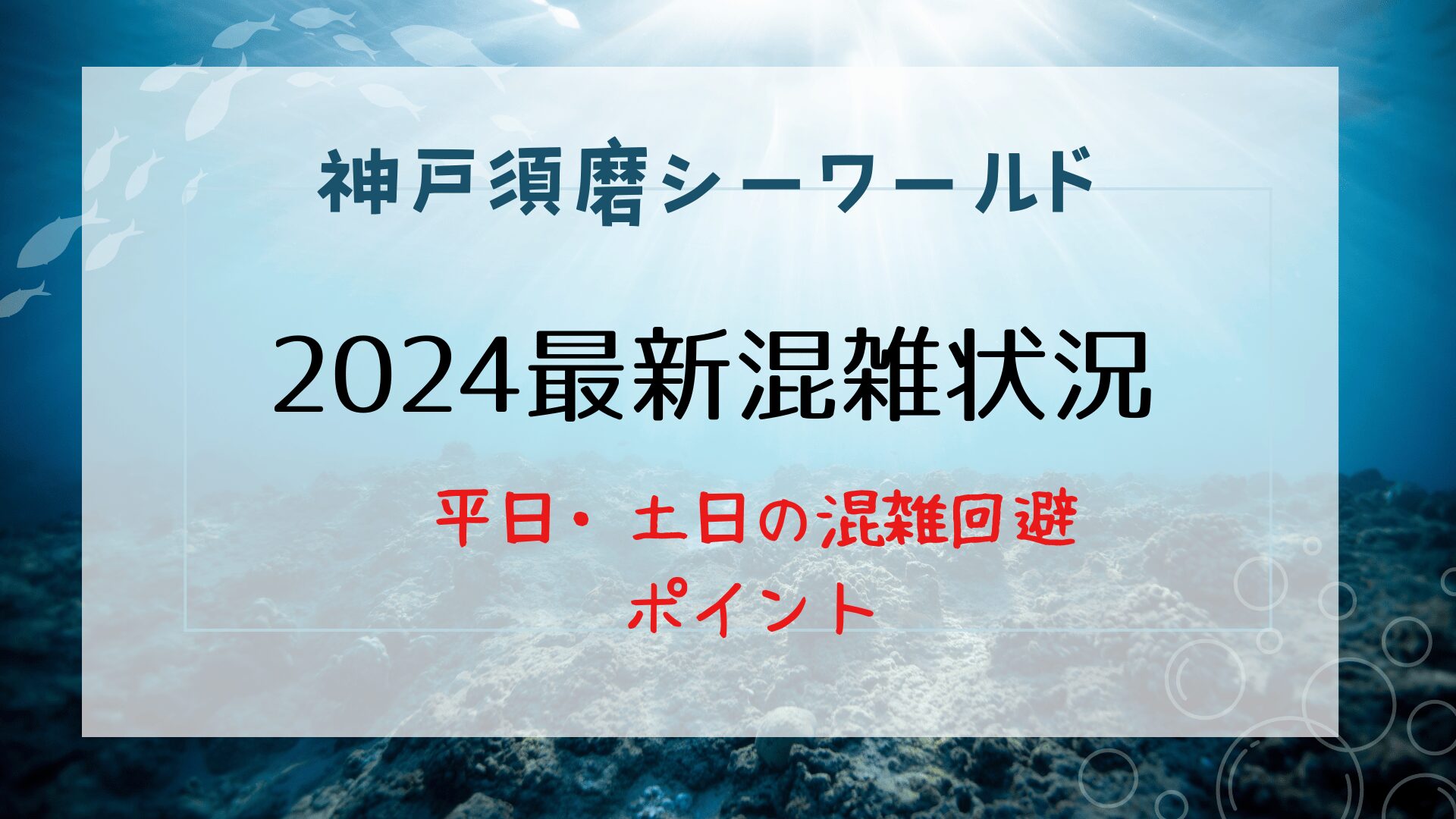 須磨シーワールドの混雑状況！平日・土日の混雑回避ポイントや口コミ